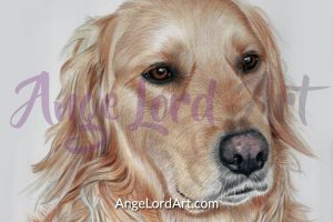 ange-lord-dog-900x600-portrait